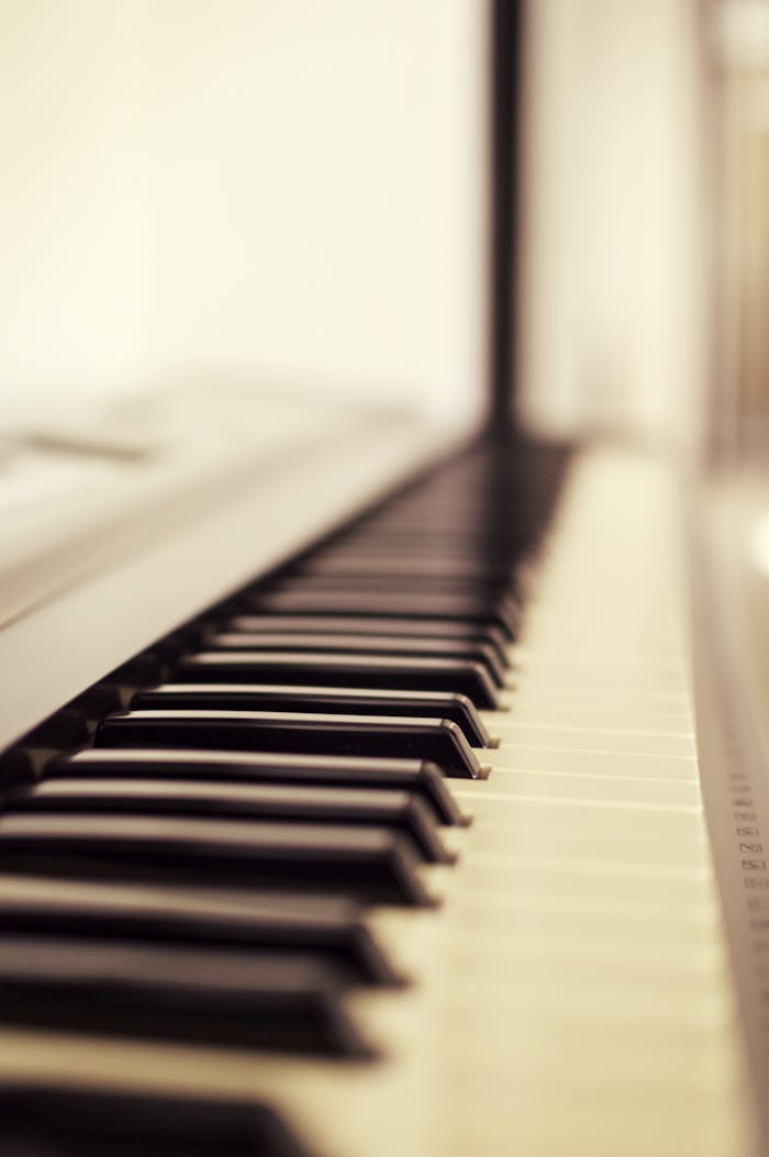 A classic close-up of piano keys with a soft focus effect, highlighting the black and white keys.